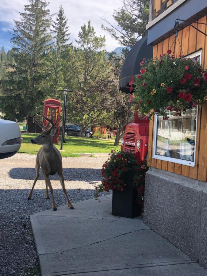 Piccadilly Motel Radium Hot Springs Eksteriør billede